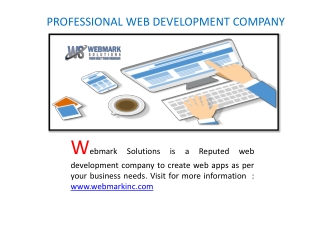 PROFESSIONAL WEB DEVELOPMENT COMPANY