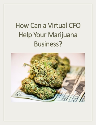 How Can a Virtual CFO Help Your Marijuana Business?
