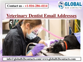 Veterinary Dentist Email Addresses