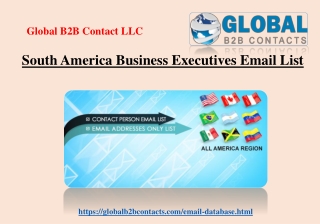 South America Business Executives Email List