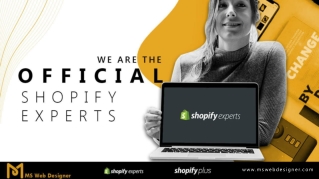 Setting Up A Shopify Store at an Affordable Price