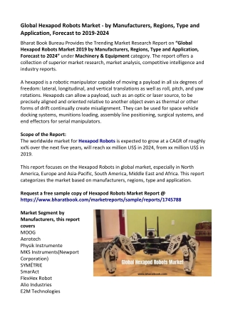 Global Hexapod Robots Market Outlook 2019-2024
