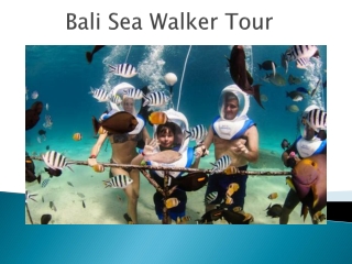 Bali sea walker tour packages from India at the best amazing price