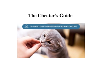 The Cheater's Guide to administering Flea Treatments | BudgetVetCare