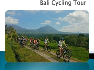 Book Bali cycling tour from India at the best discounted price
