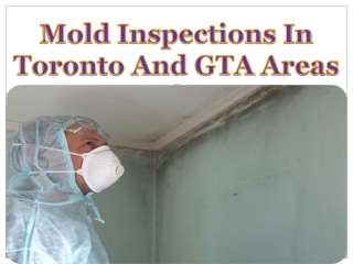 Mold Inspections In Toronto And GTA Areas