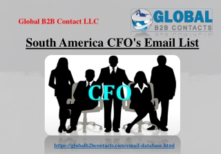 South America CFO's Email List