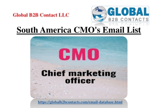 South America CMO's Email List