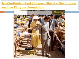 Not-So-Unidentified Platypus Object – The Princess and the Platypus Fo