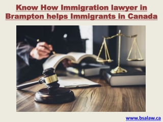 How Immigration lawyer in Brampton helps Immigrants in Canada