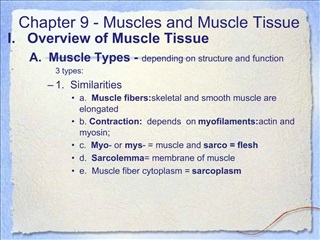 Chapter 9 - Muscles and Muscle Tissue