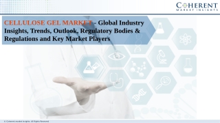 Cellulose Gel Market- Industry Insights, Trends, Outlook, Regulatory Bodies & Regulations and Key Market Players