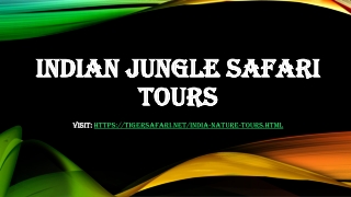 Indian jungle safari tours