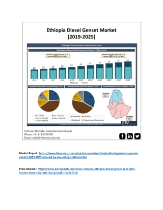 Ethiopia Diesel Genset Market (2019-2025)