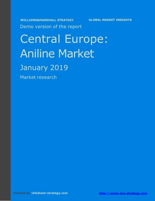 WMStrategy Demo Central Europe Aniline Market January 2019