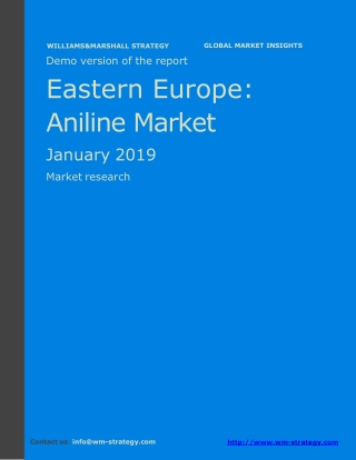 WMStrategy Demo Eastern Europe Aniline Market January 2019