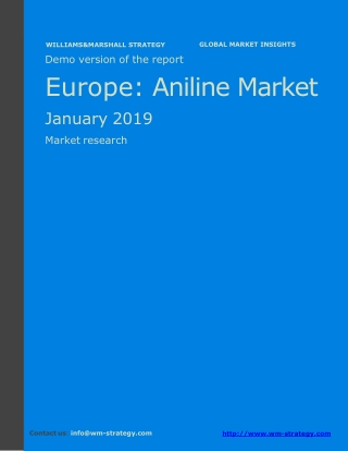WMStrategy Demo Europe Aniline Market January 2019