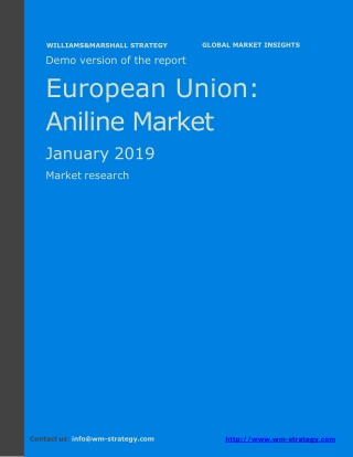 WMStrategy Demo European Union Aniline Market January 2019