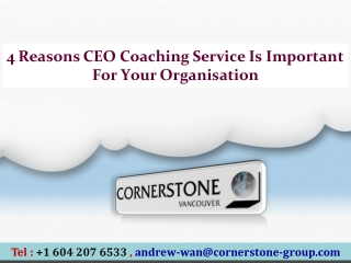 4 Reasons CEO Coaching Service Is Important For Your Organisation