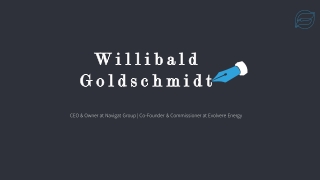 Willibald Goldschmidt - Experienced Professional