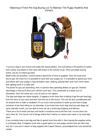 Dog Training Collar