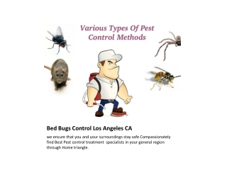 Bed Bugs Control Companies Los Angeles CA