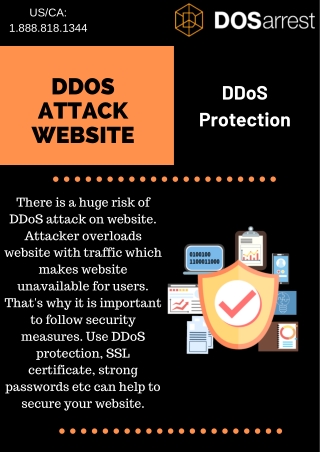 DDoS Attack Website