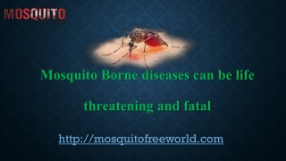 Mosquito borne diseases