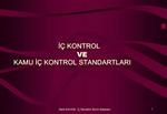 I KONTROL VE KAMU I KONTROL STANDARTLARI