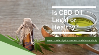 About-CBD-Oil