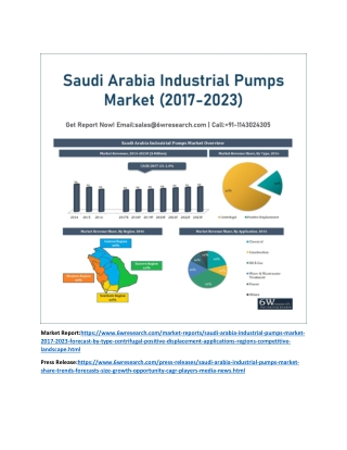 Saudi Arabia Industrial Pumps Market (2017-2023)