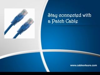 Patch Cable