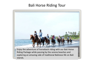 Book Bali horse riding tour package from India at the best price