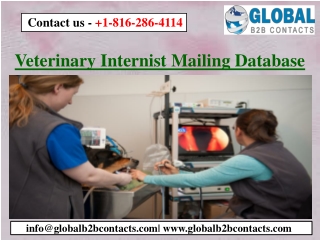 Veterinary Internist Mailing Database
