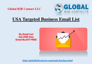 USA Targeted Business Email List