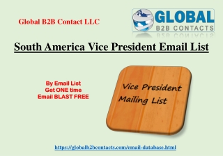 South America Vice President Email List