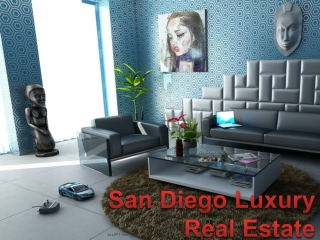 Luxury Real Estate Agent