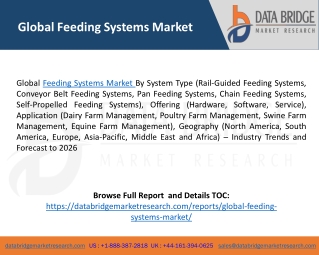 Global Feeding Systems Market – Industry Trends