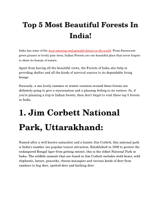 Top 5 Most Beautiful Forests In India!