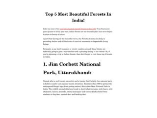 Top 5 Most Beautiful Forests In India!