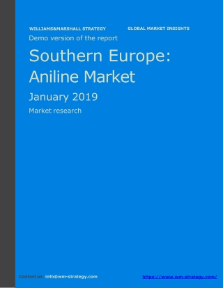 WMStrategy Demo Southern Europe Aniline Market January 2019
