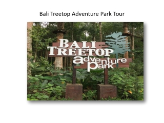 Bali tree top adventure tour package at best discounted price -GalaxyTourism
