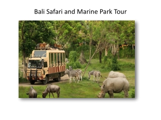 Bali safari and marine park tour at an amazing price -GalaxyTourism