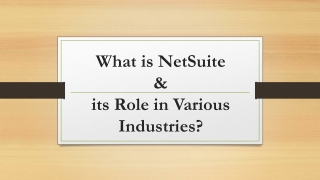What is NetSuite and its Role in Various Industries?