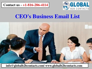 CEO's Business Email List