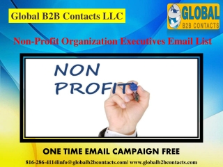 Non-Profit Organization Executives Email List