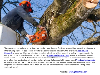 Hedge Trimming Central Coast & Arborist Newcastle