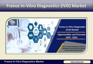 France In Vitro Diagnostics market is expected to be around US$ 5 Billion by 2024