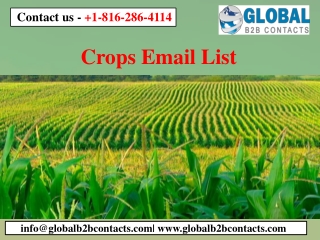 Crops Email List