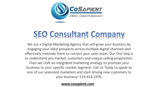 Seo Consultant Company Dallas
